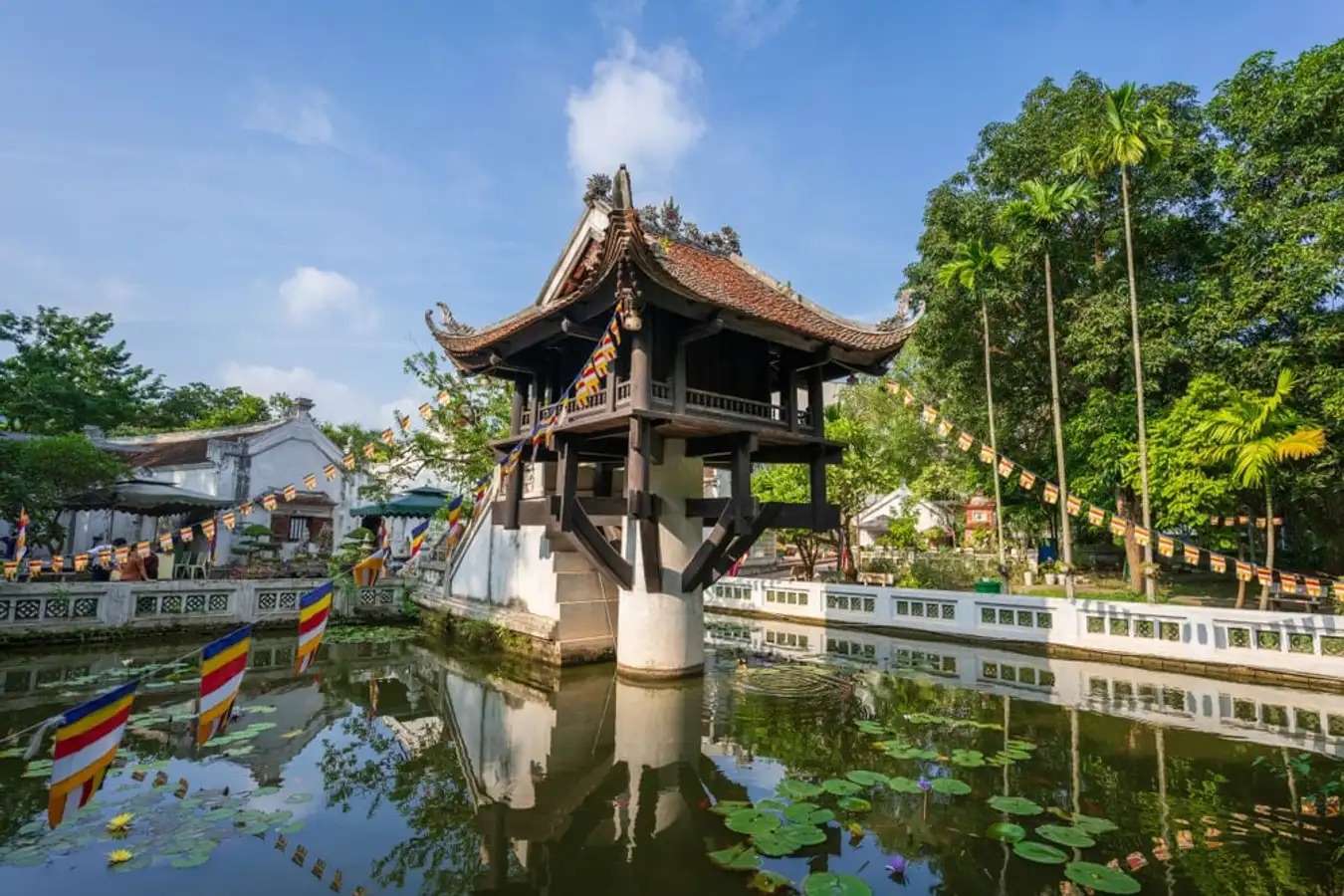 ca mau ha noi 4