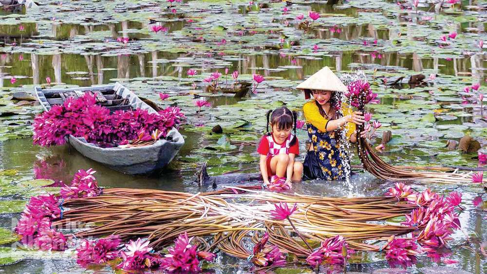 ha noi can tho 4