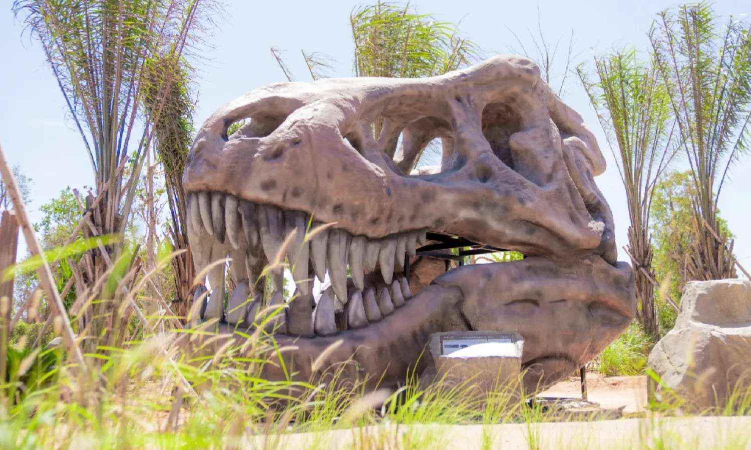 vé công viên khủng long phan thiết
