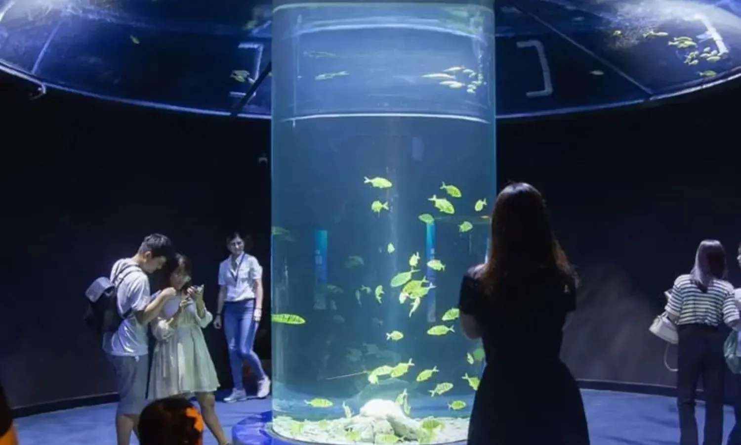 giá vé lotte world aquarium