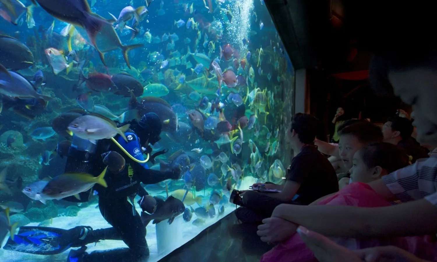 thủy cung aquaria klcc kuala lumpur