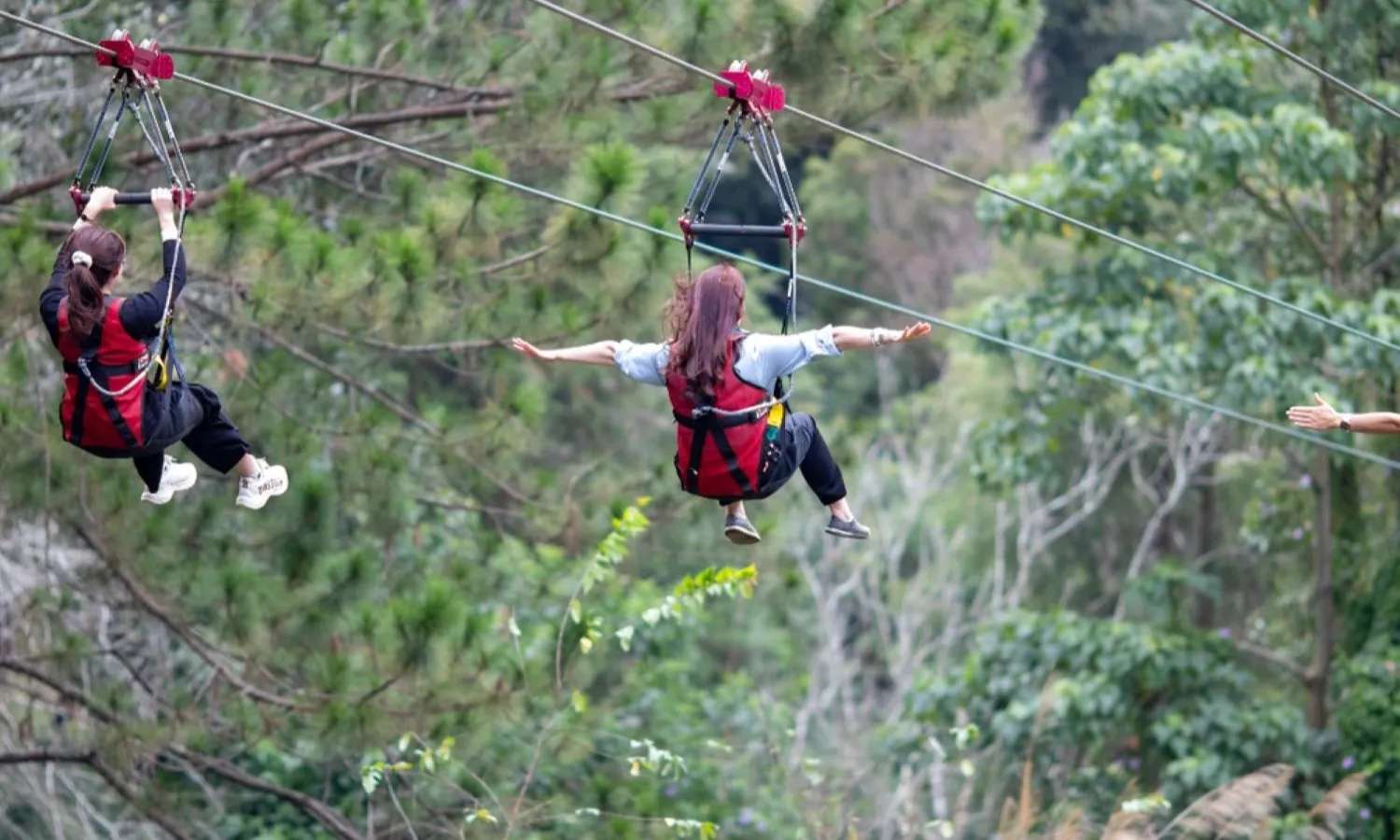 giá vé Zipline đà lạt