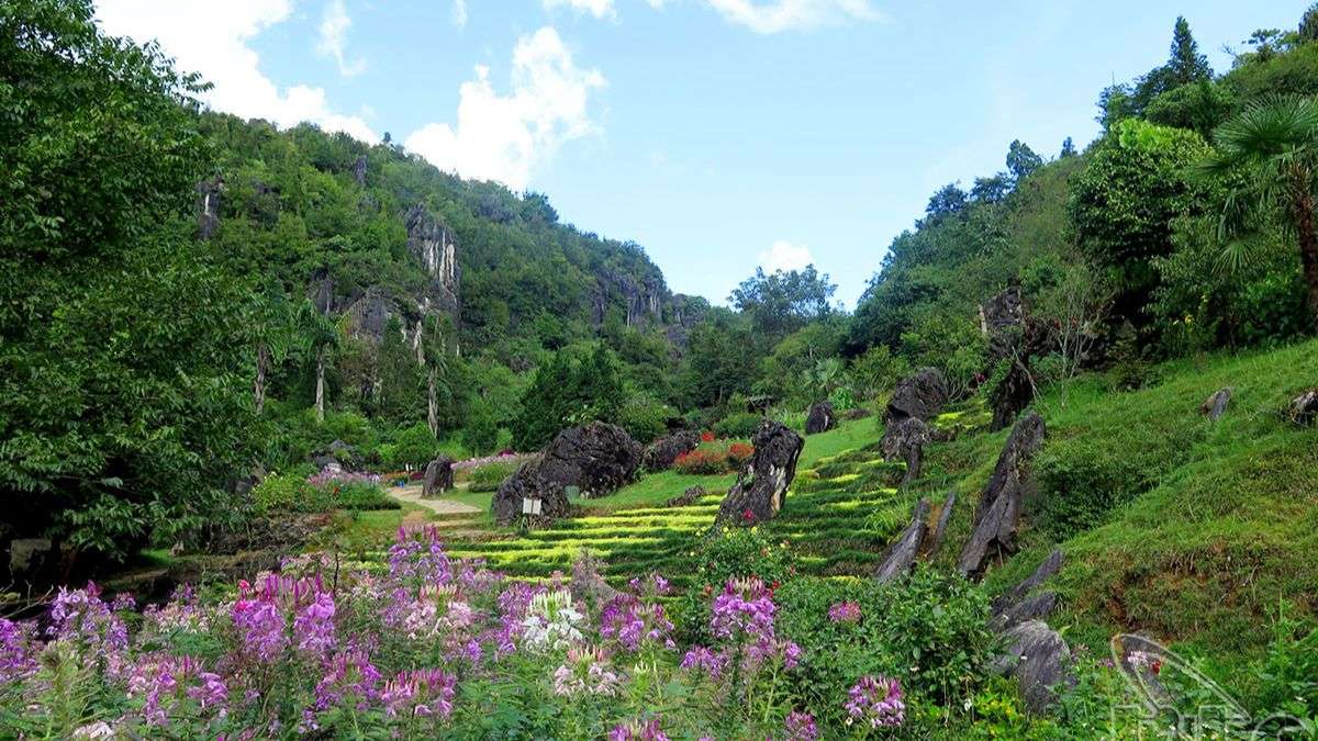 Phong cảnh nên thơ ở núi Hàm Rồng