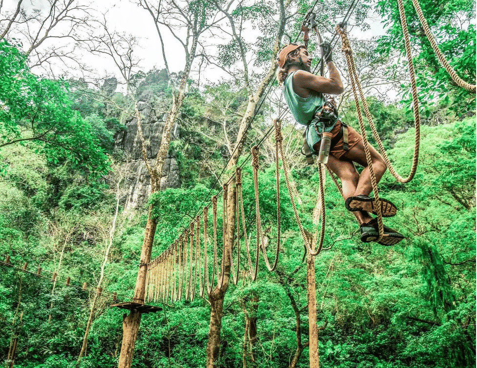 Phiêu lưu thú vị tại Công viên Ozo Treetop