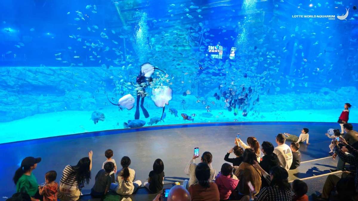 Thủy cung Lotte World sở hữu 67 bể trưng bày lớn