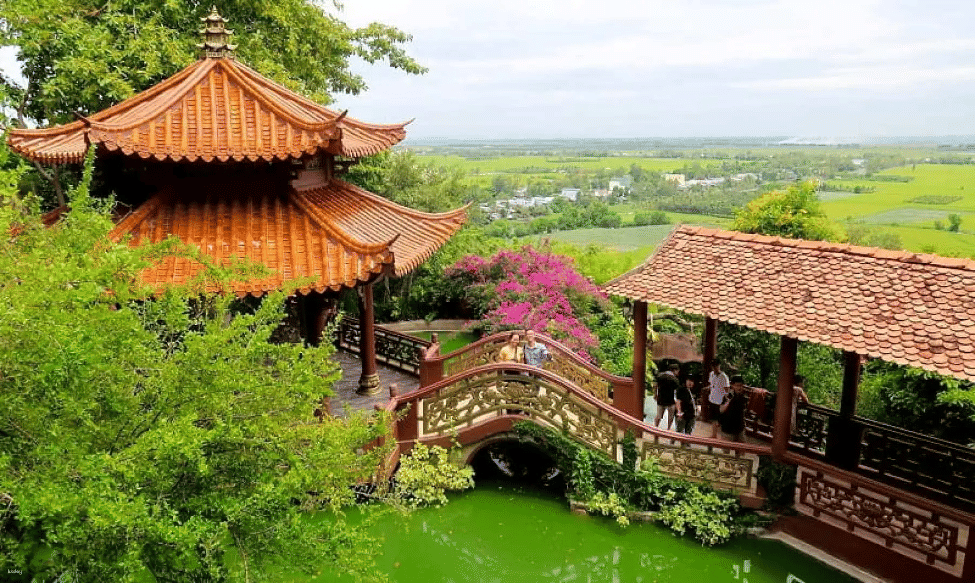 Khám phá Rừng Trà Sư trong ngày