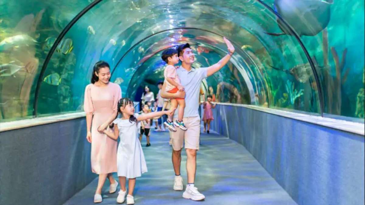 Thuỷ cung Times City