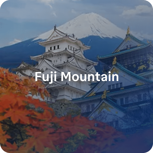 Fuji Mountain