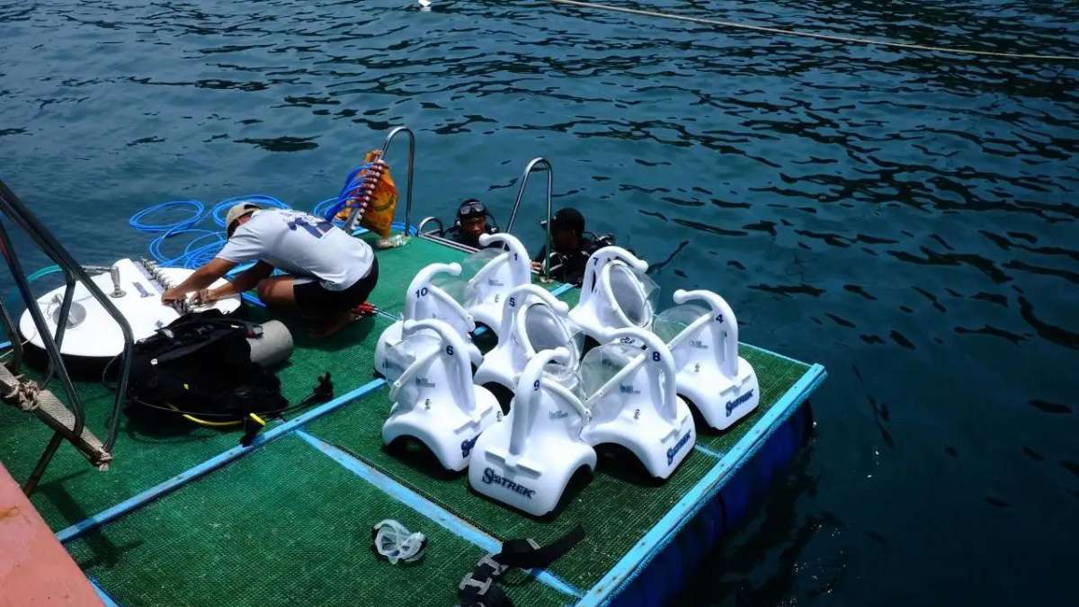 Tour đi bộ dưới biển Cù Lao Chàm 1 ngày