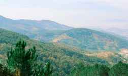 Khách sạn Phường 9