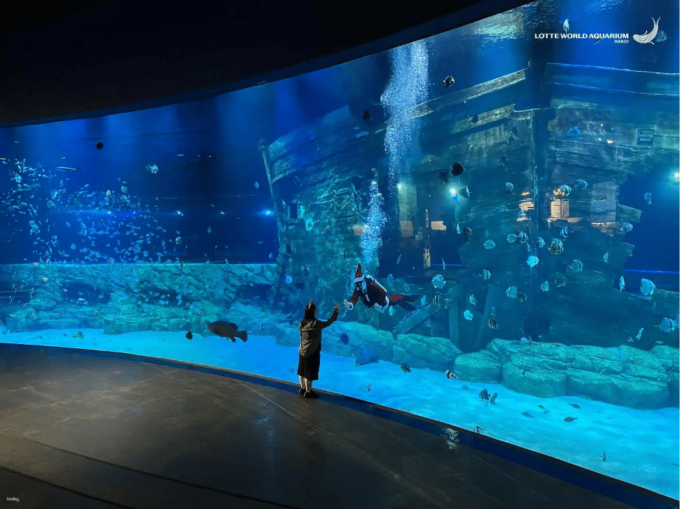 Vé thuỷ cung Lotte World Aquarium Hà Nội