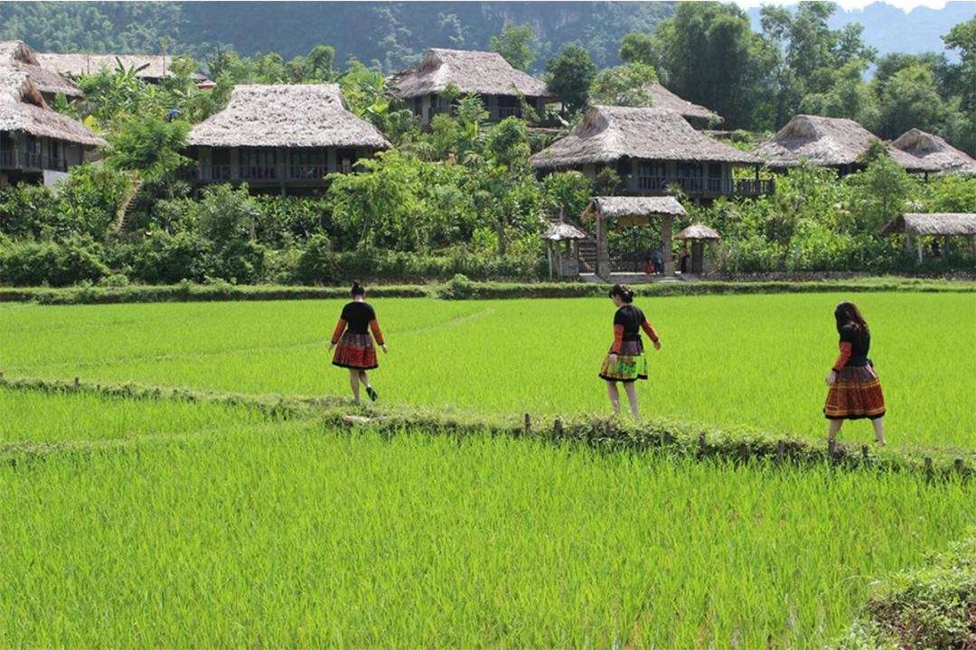 Tham quan Mai Châu Bản Lác - địa điểm vui chơi gần BaKhan Village Resort