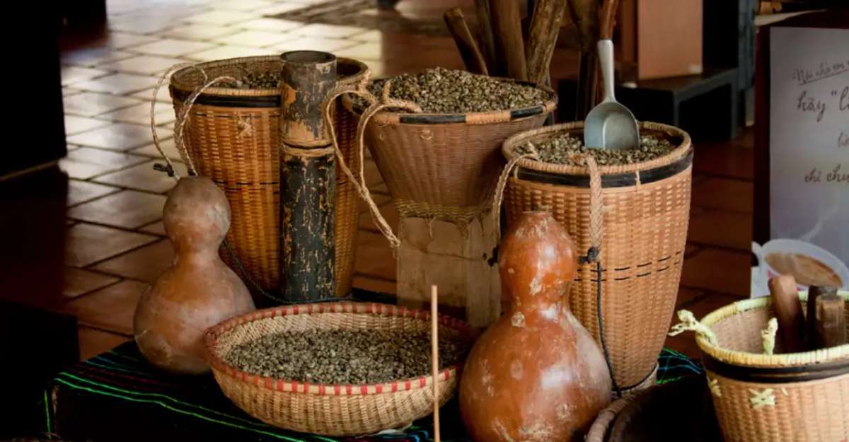 Hòa mình vào thế giới của cà phê tại ngôi làng