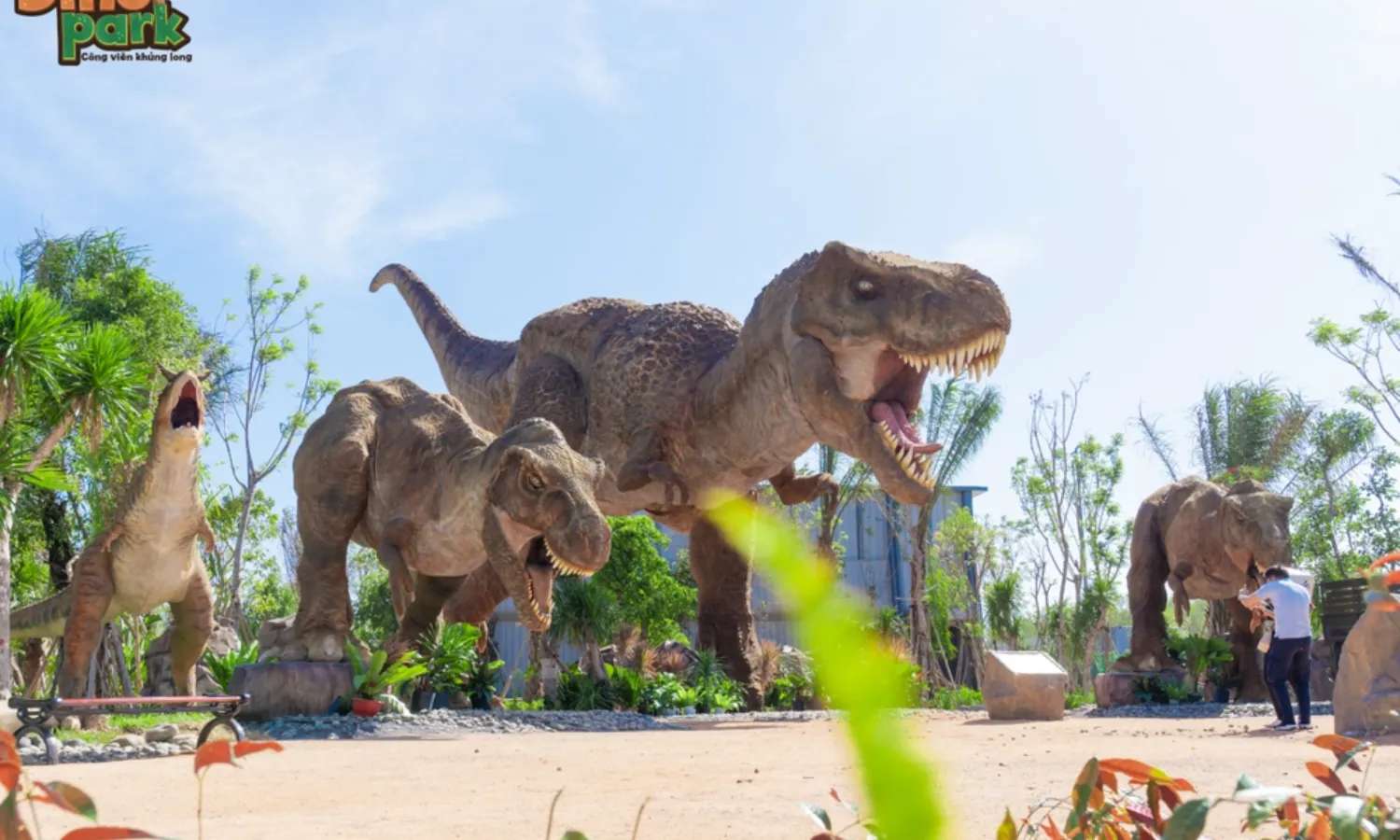 Dino Park - khu vui chơi Phan Thiết