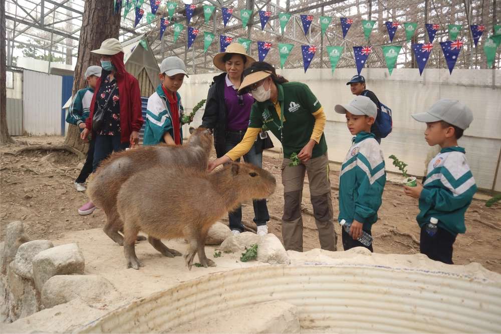 Sở thú ZooDoo Đà Lạt