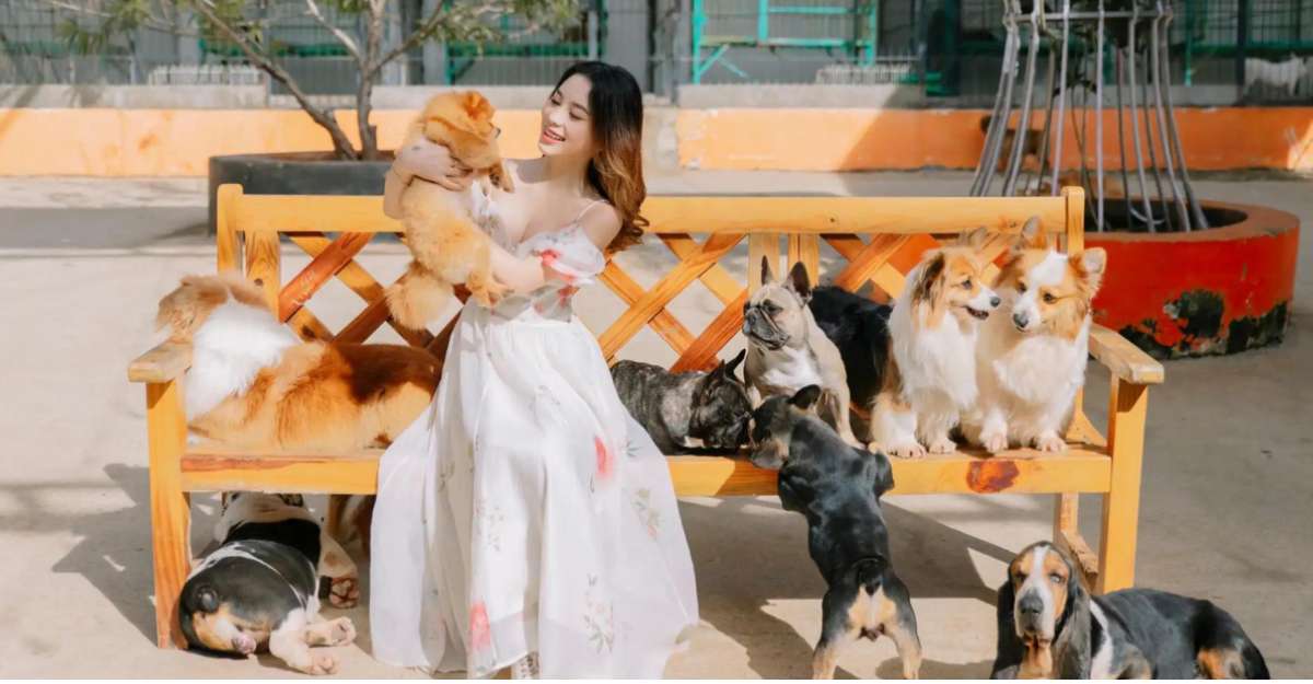 Ảnh của du khách tại nông trại cún Puppy Farm Đà Lạt