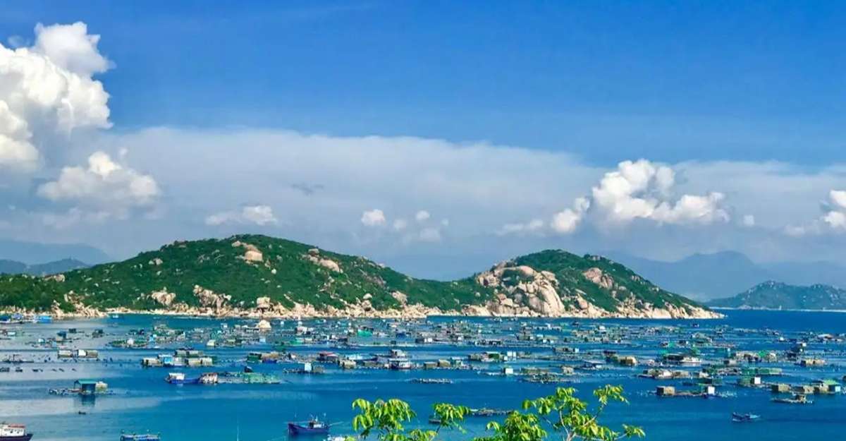 Tour Hang Rái, Vĩnh Hy, Vườn nho và Đồng cừu