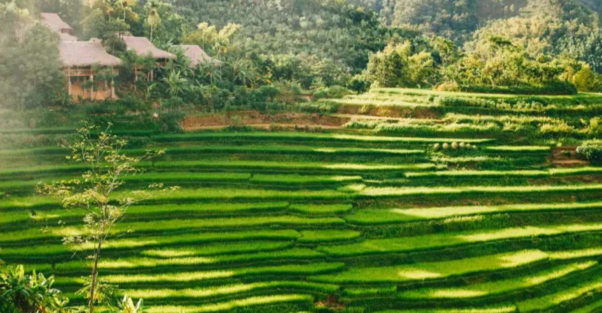 Pù Luông