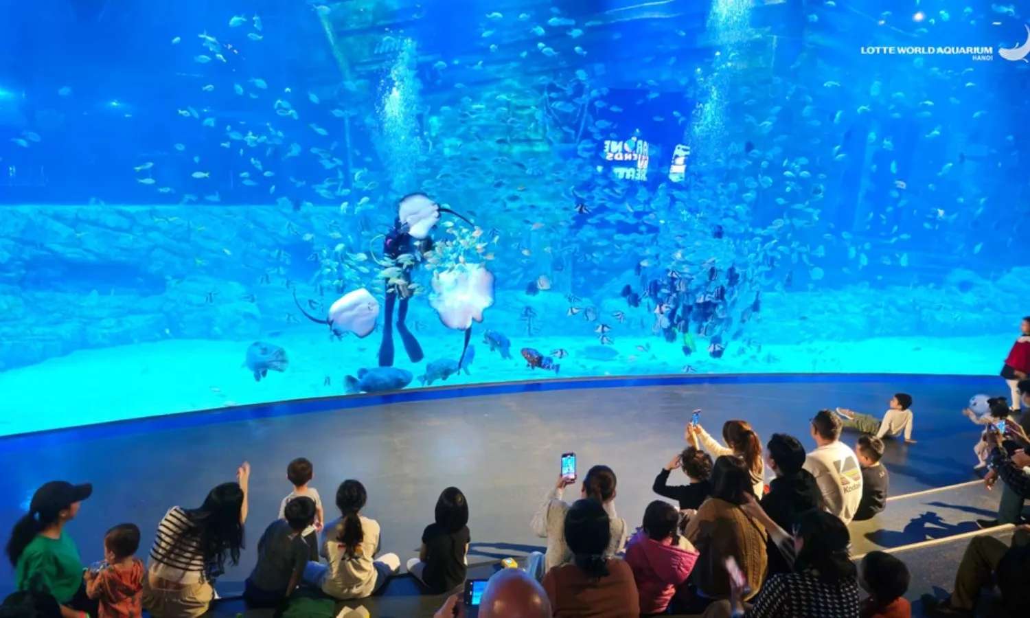 địa điểm du lịch gần hà nội