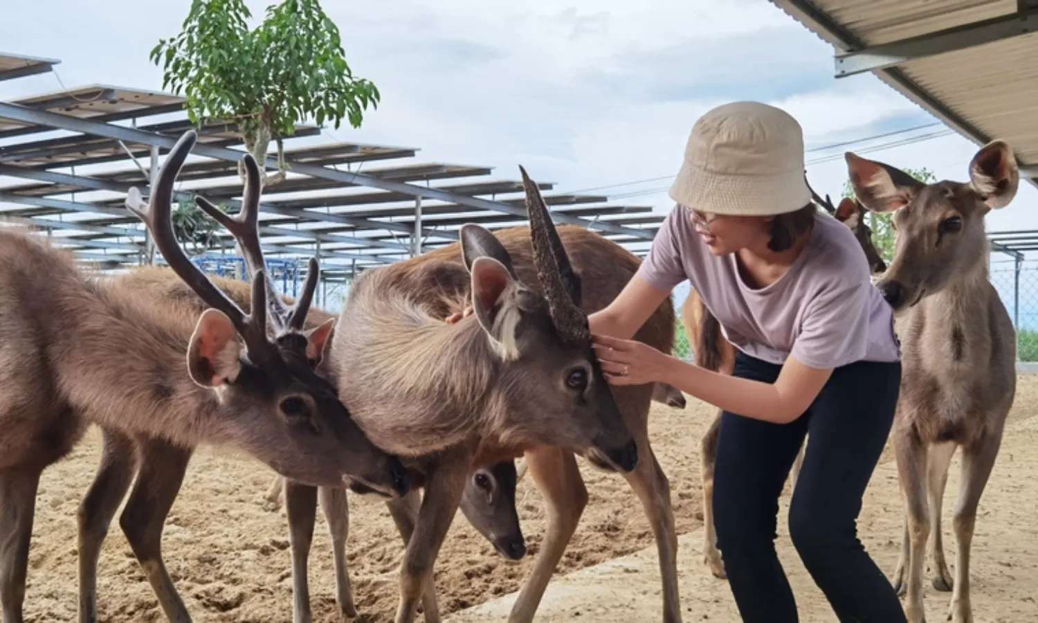 khu du lịch gần Sài Gòn
