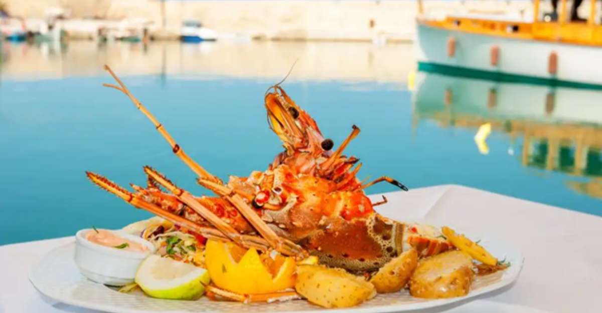 Ra đảo Cát Bà nhất quyết phải nếm thử các món ăn hải sản ở nơi đây nhé