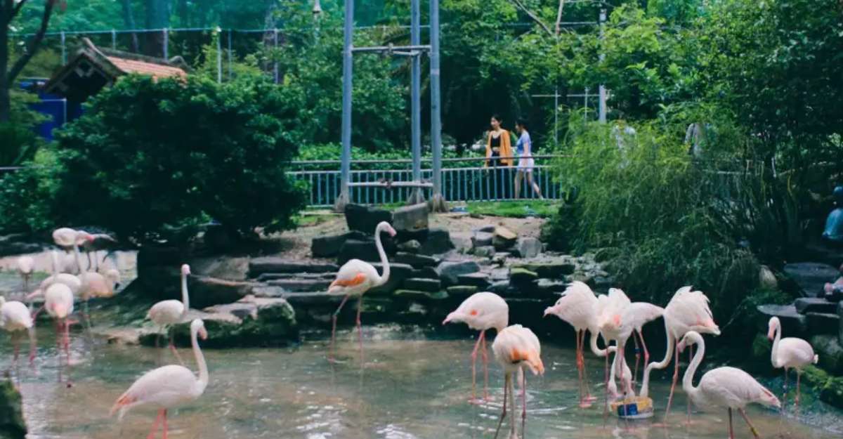 Thảo Cầm Viên Sài Gòn