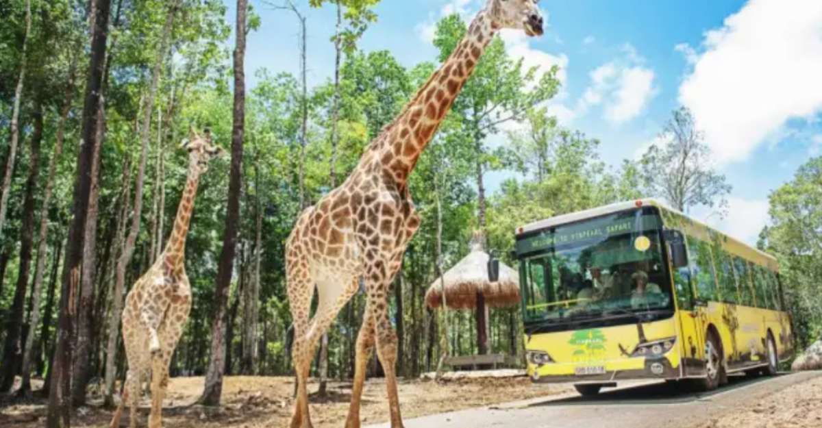 Vinpearl Safari Phú Quốc