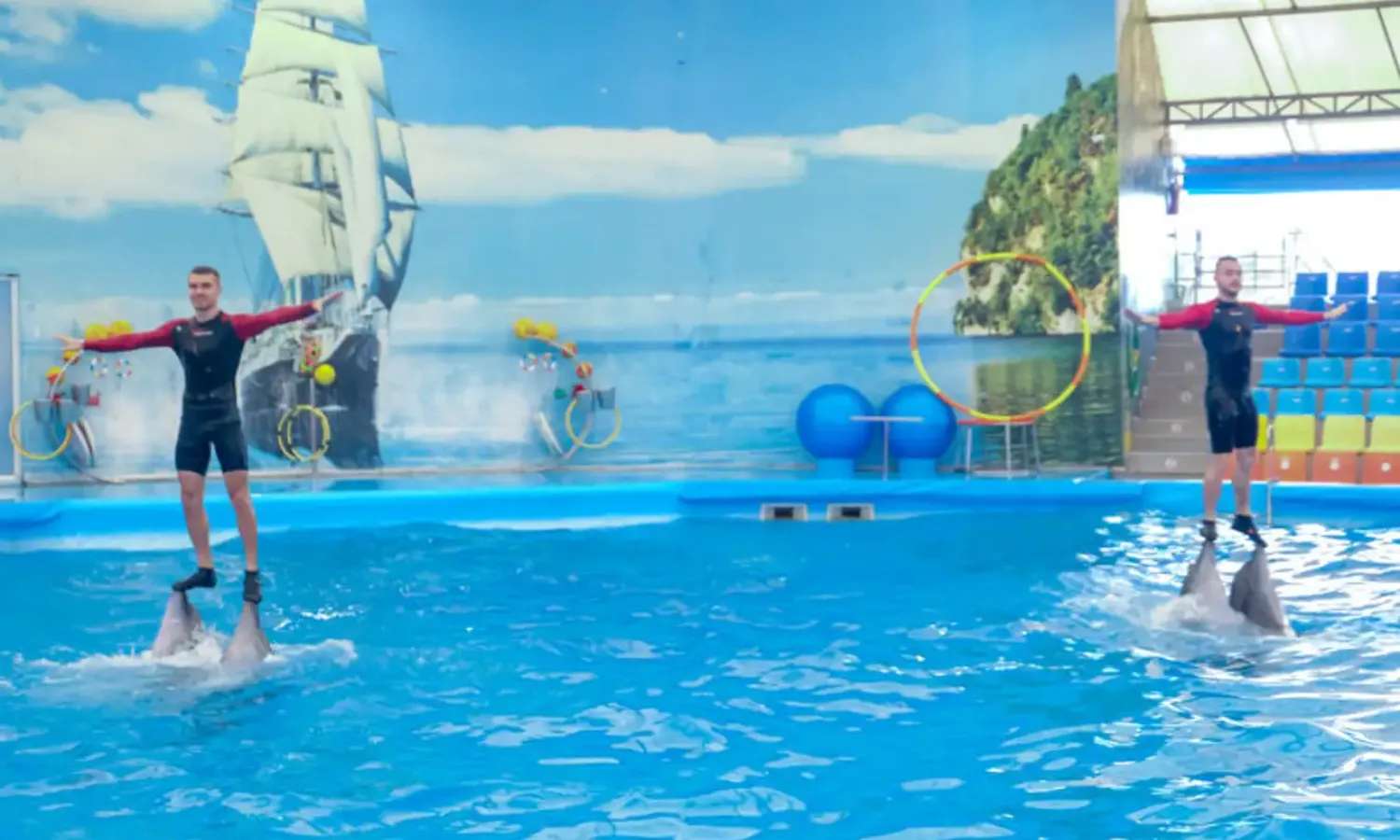 Dolphin Bay Phuket