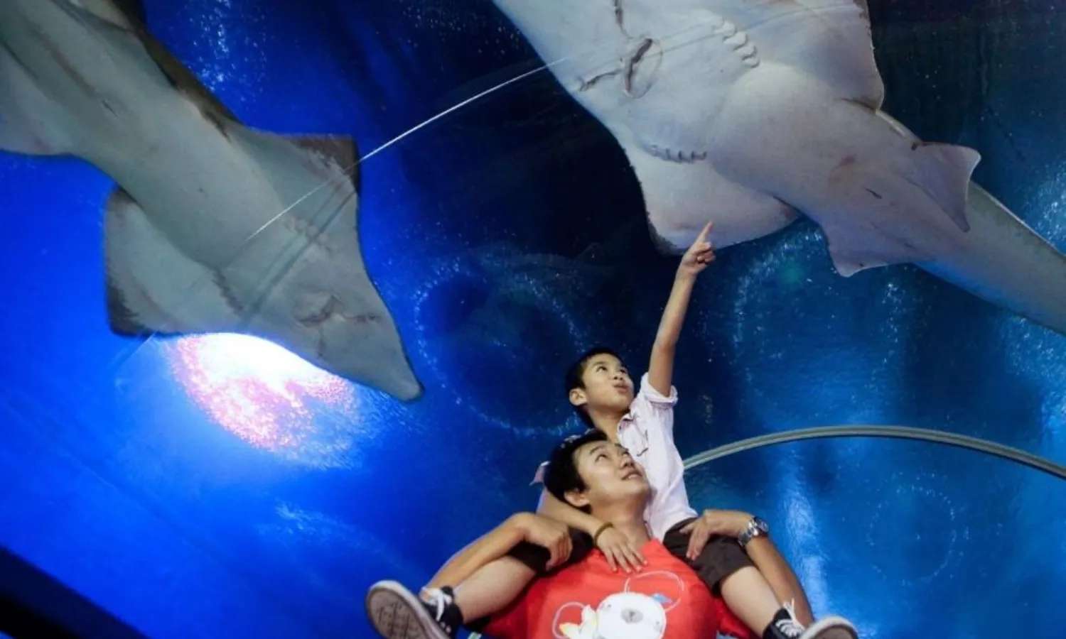 thủy cung underwater world pattaya
