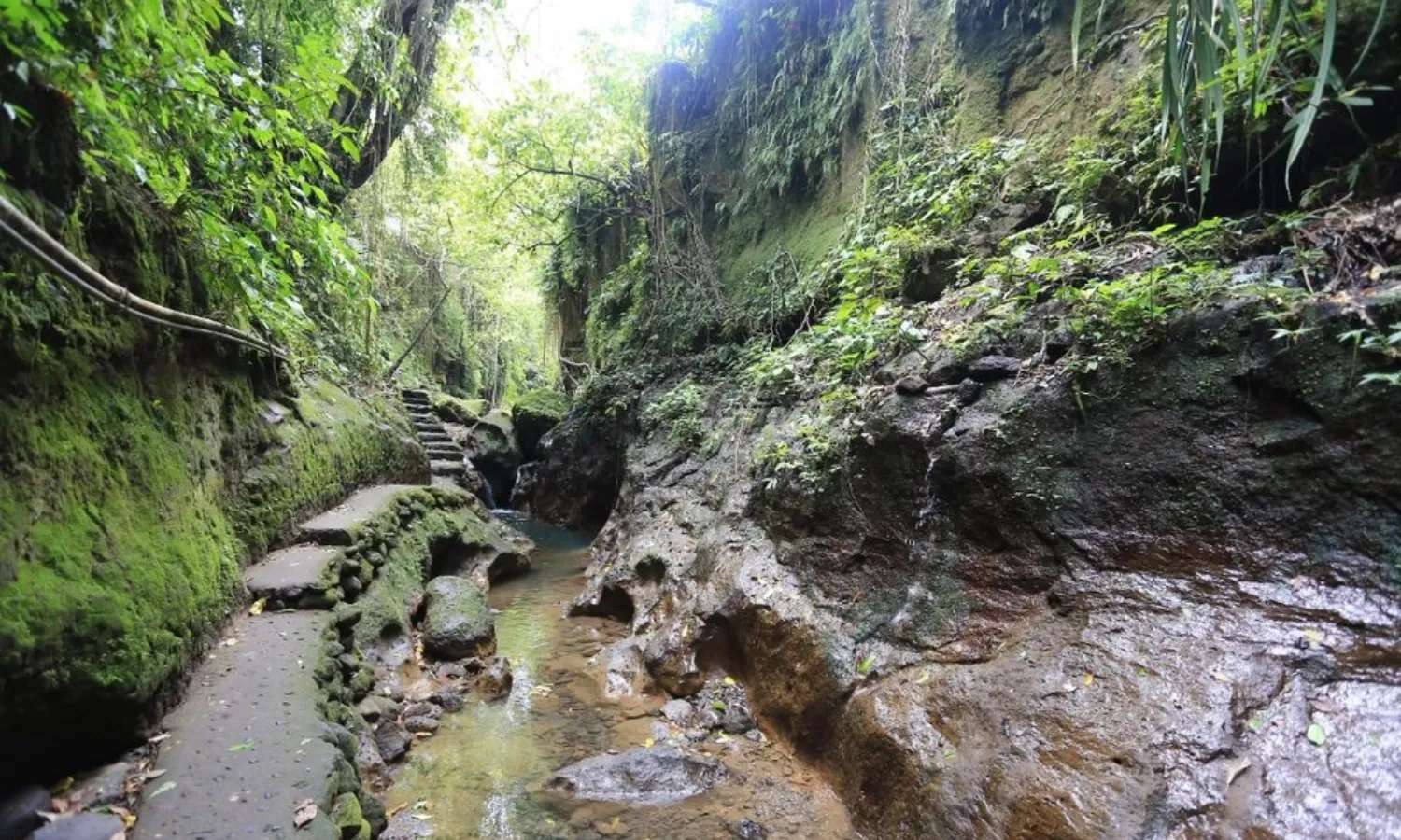 rừng khỉ ubud, vé tham quan rừng khỉ ubud