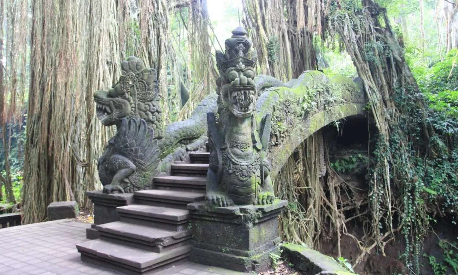 vé tham quan monkey forest ubud