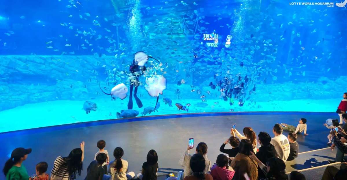 Thuỷ cung tại Lotte Mall West Lake Hà Nội