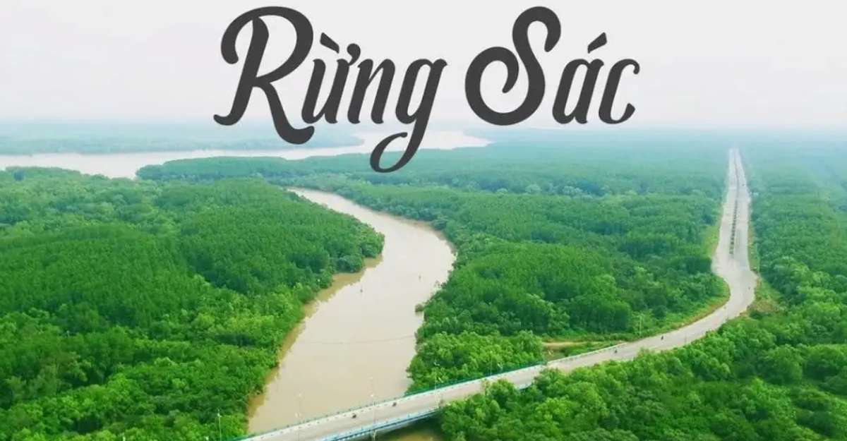 Rừng sác Cần Giờ