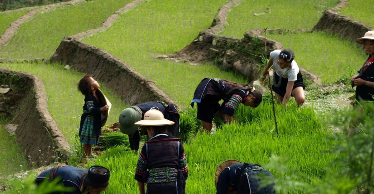 Tour khám phá Sapa ấn tượng