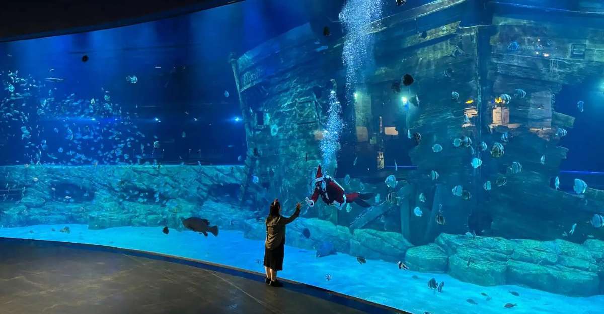 Khám phá sinh vật biển tại Lotte World Aquarium