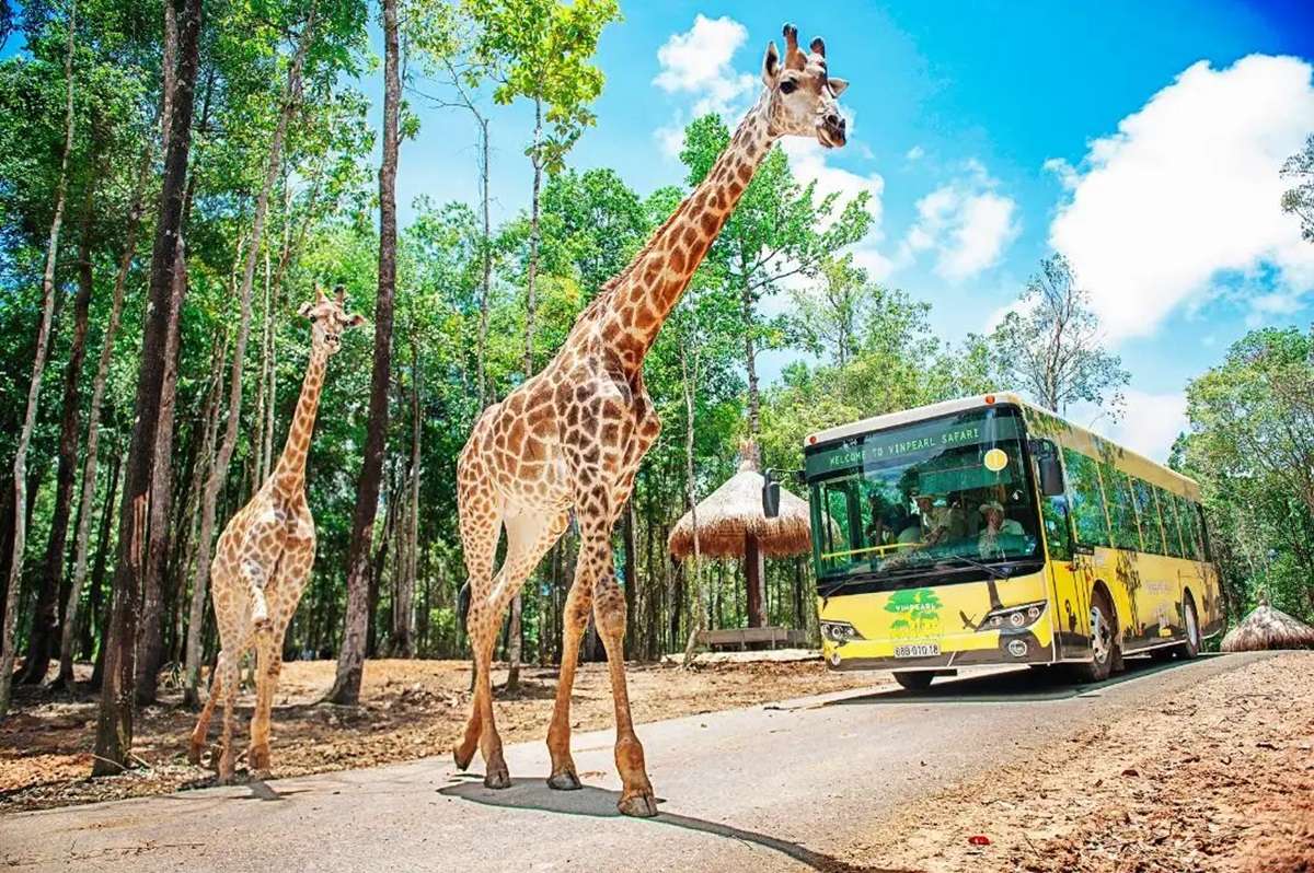 Vinpearl Safari Phú Quốc