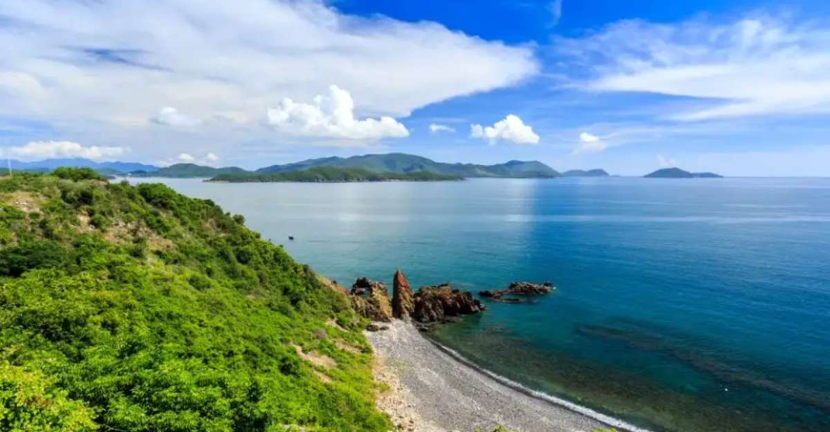 Ngắm san hô và tham gia các hoạt động trên biển với tour tham quan đảo