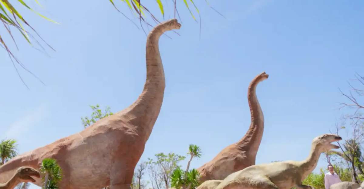 Vé Công viên khủng long Dino Park Phan Thiết 2024