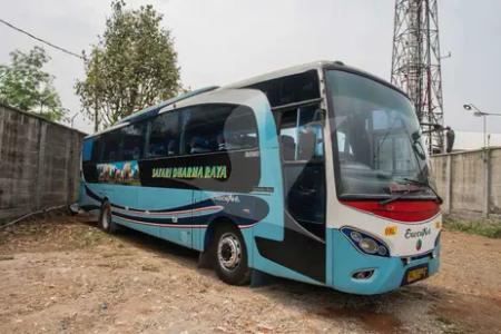 rute bus safari dharma raya