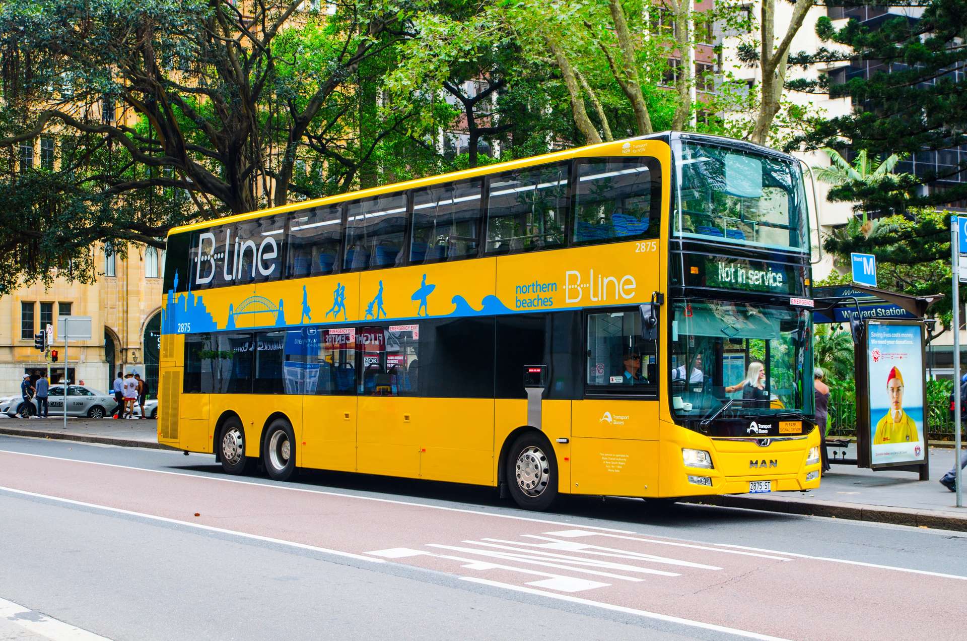 xe B-line