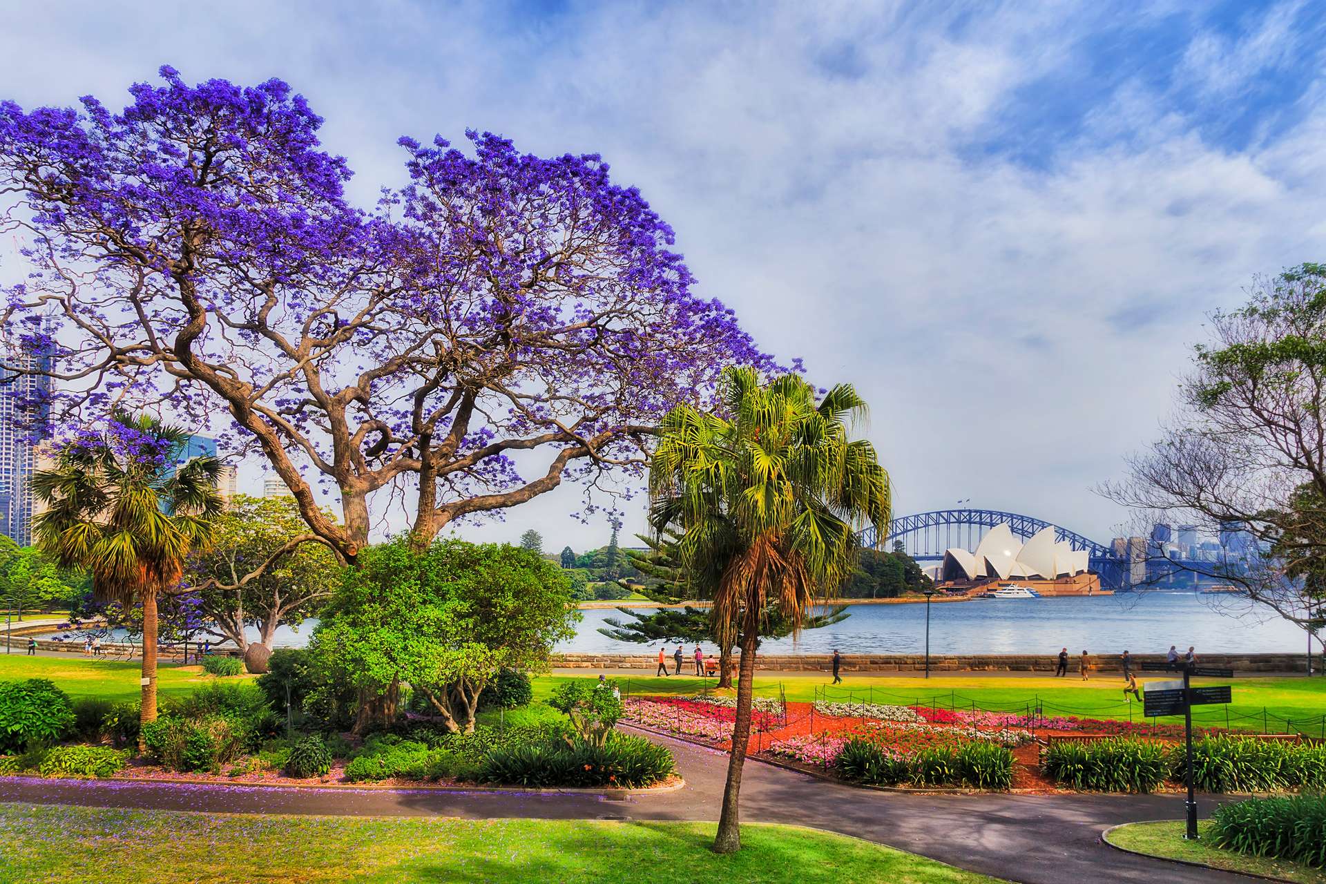công viên Sydney