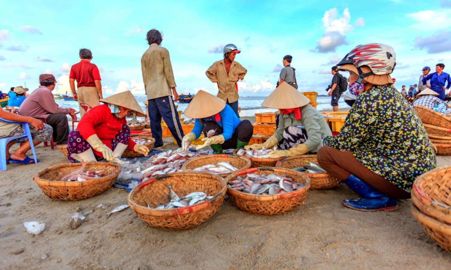tour Bà Rịa Vũng Tàu