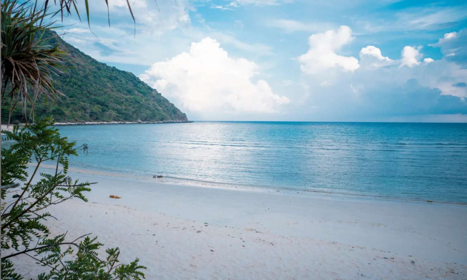 chơi gì ở Bà Rịa Vũng Tàu