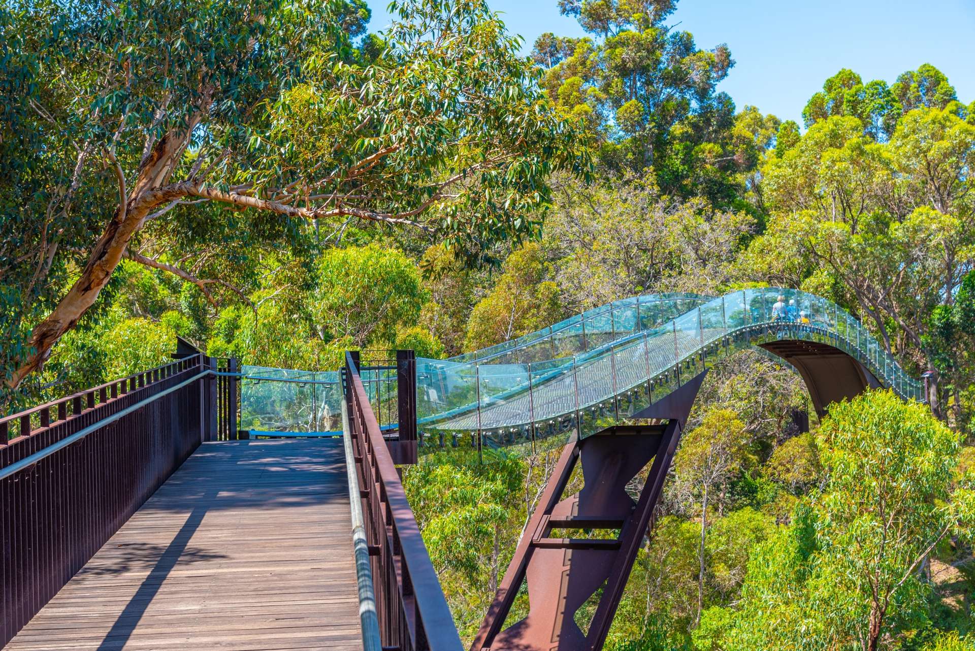 Kings Park