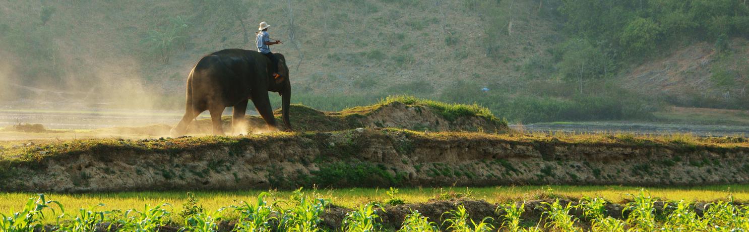 Homestay Buôn Ma Thuột đề xuất của Traveloka