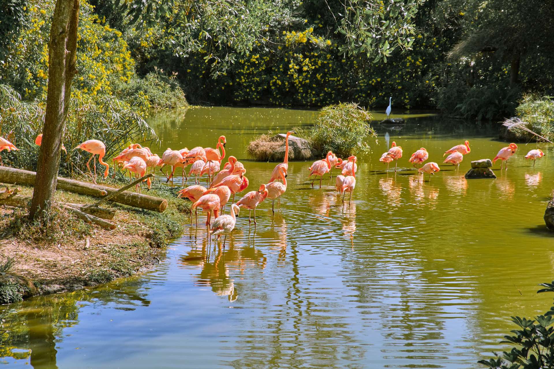 Vinpearl Safari Phú Quốc