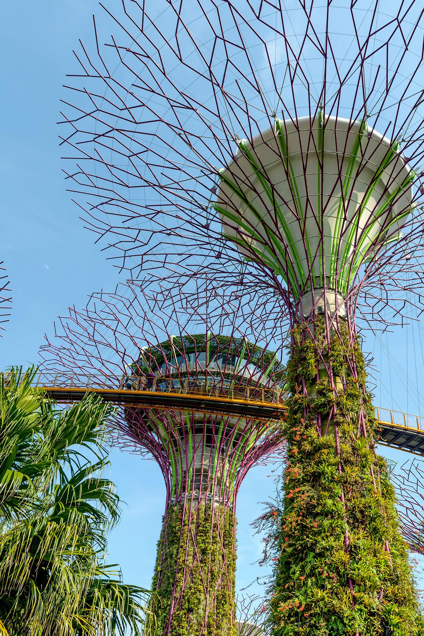 Cruise dari Singapura