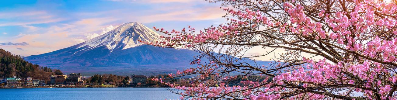 Flights to Tokyo (NRT)
