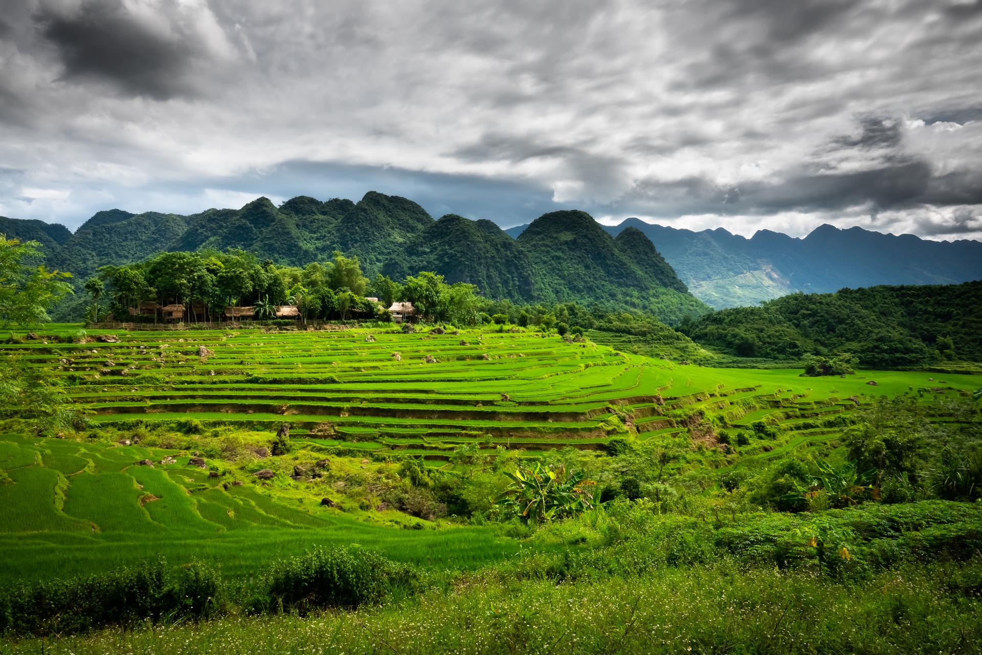Màu xanh vô tận của vùng đất Pù Luông