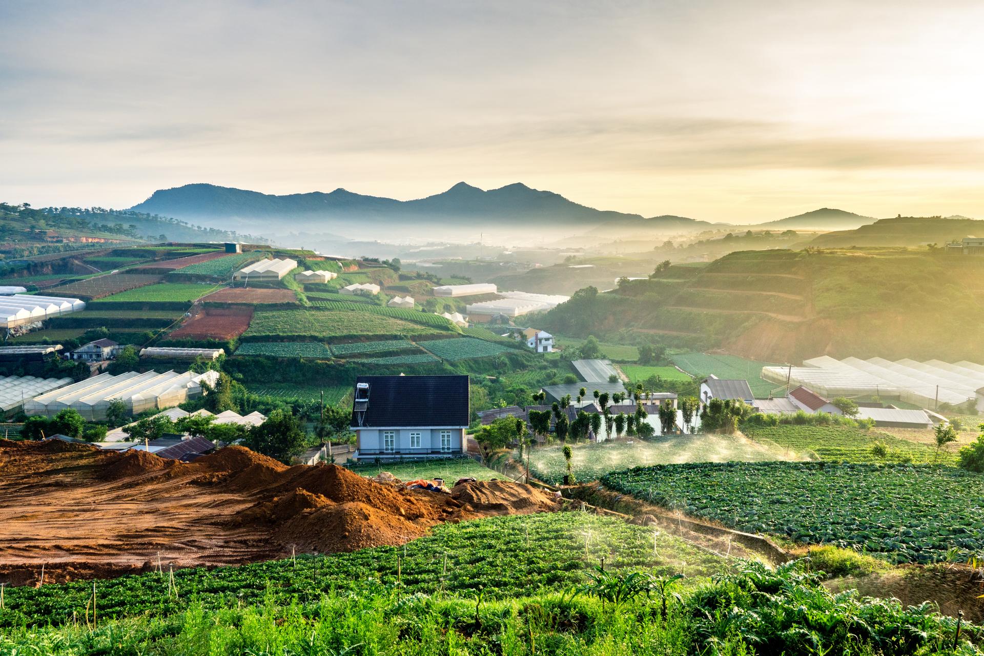 Những ngọn đồi xanh ngát tại Lâm Đồng